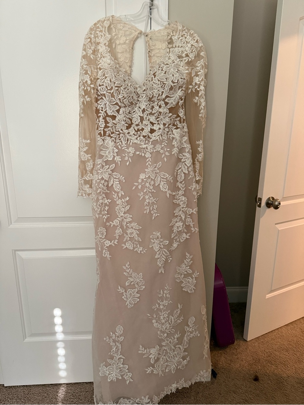 Long Sleeve Lace Overlay Evening Dress in Blush